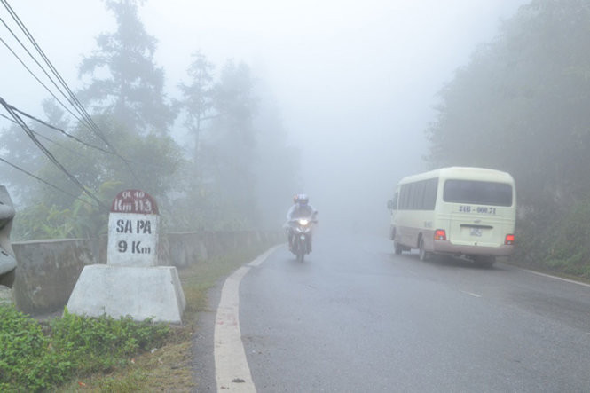 sa pa ret hai 8 4 do c dan so tan trau bo tranh ret