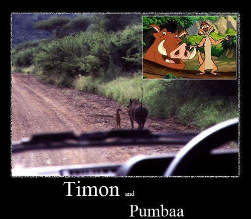 10 anh hai hot nhat facebook ngay qua