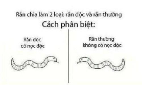 10 anh hai hot nhat facebook ngay qua