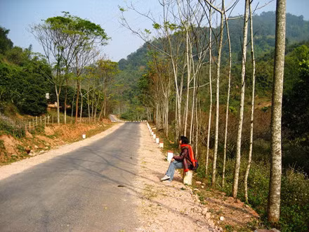 lac buoc quen loi ve o thien duong hoa moc chau thang 11