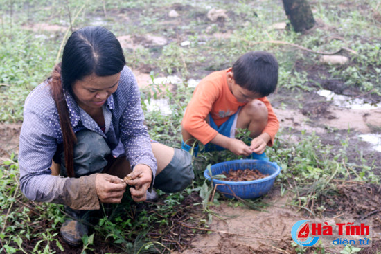 san de sau lu thu tien trieu moi ngay