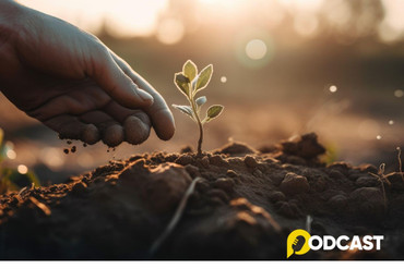 Podcast Tản văn: Mùa gieo hạt