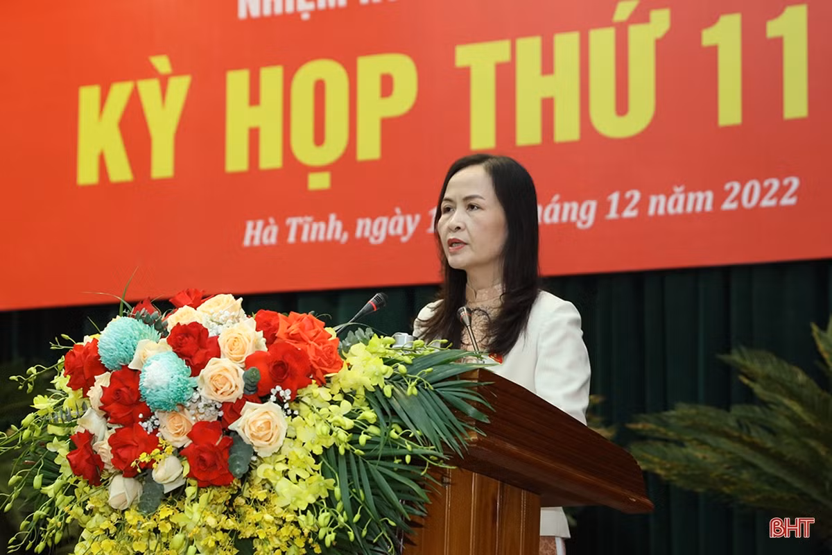 Đại biểu HĐND tỉnh gợi mở nhiều giải pháp thực hiện nhiệm vụ chính trị