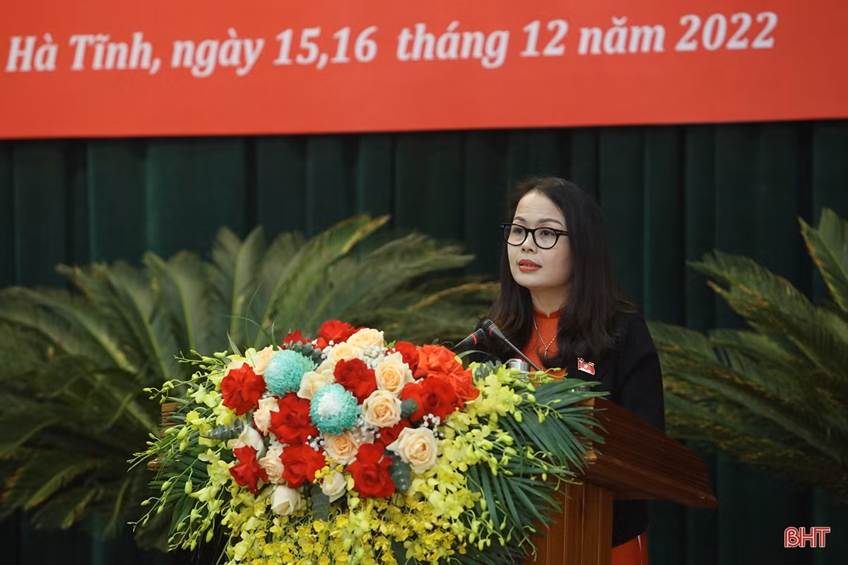 Đại biểu HĐND tỉnh gợi mở nhiều giải pháp thực hiện nhiệm vụ chính trị