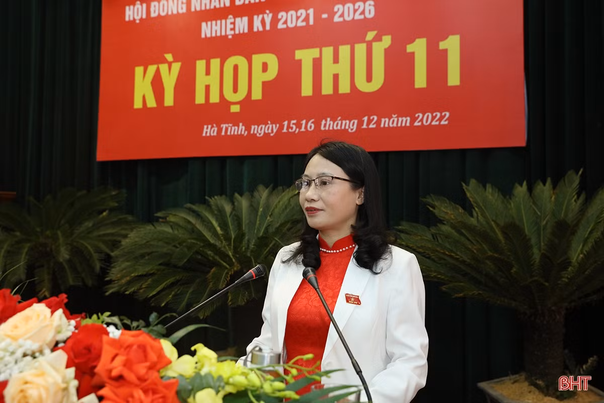 Đại biểu HĐND tỉnh gợi mở nhiều giải pháp thực hiện nhiệm vụ chính trị