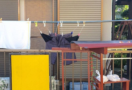 10 anh hai hot nhat facebook trong ngay