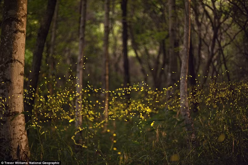 thien nhien dep ngo ngang trong sach anh national geographic