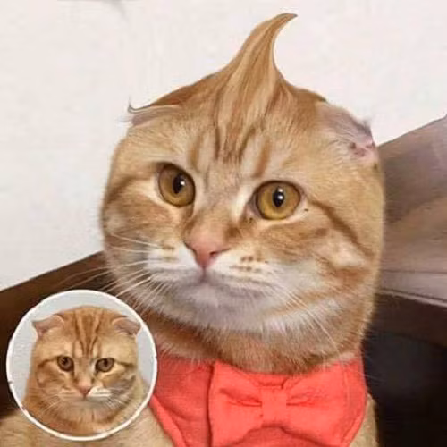 10 anh hai hot nhat facebook trong ngay