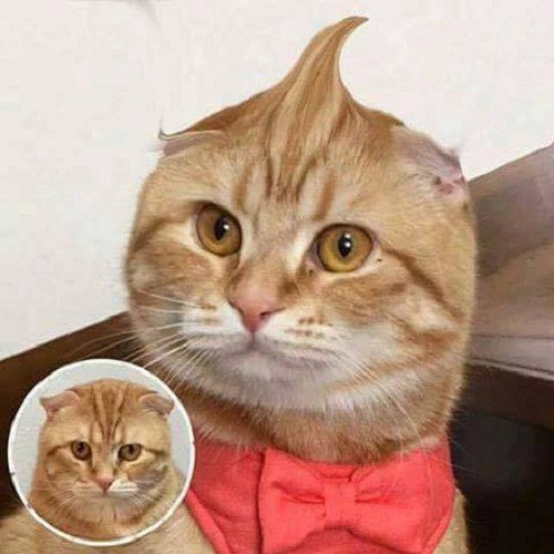 10 anh hai hot nhat facebook trong ngay