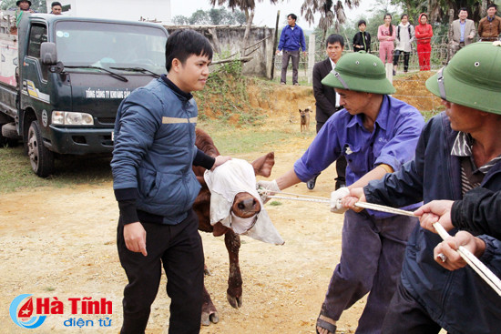 mc phan anh trao bo cho ba con vung lu huong khe