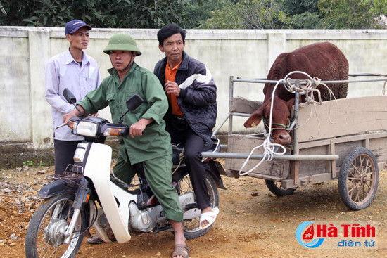 mc phan anh trao bo cho ba con vung lu huong khe