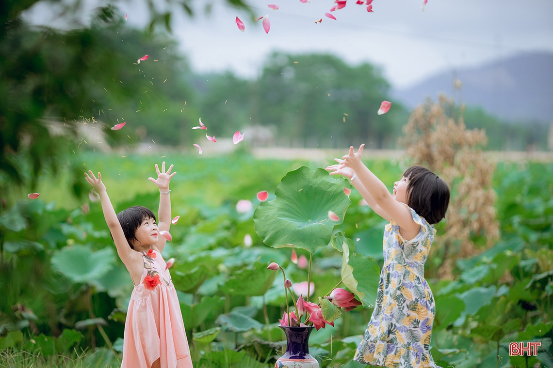 Những khoảnh khắc đáng yêu của em bé Hà Tĩnh bên hoa sen