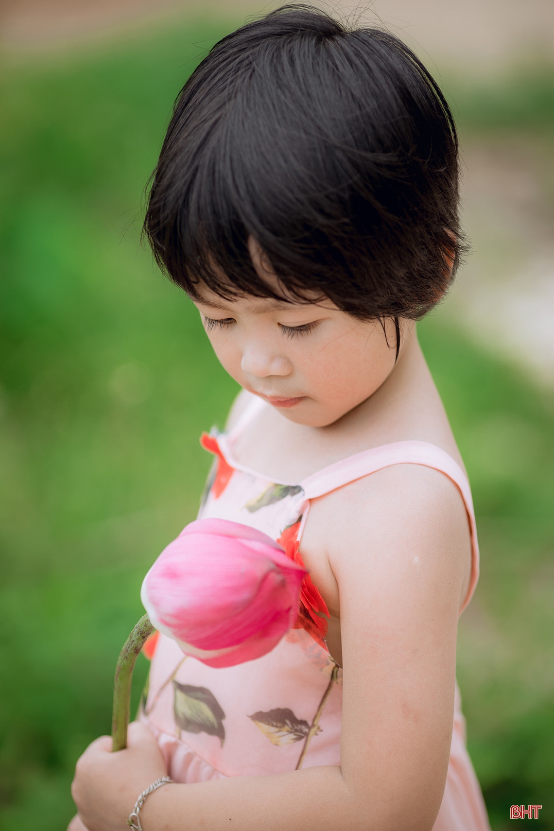Những khoảnh khắc đáng yêu của em bé Hà Tĩnh bên hoa sen