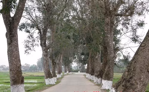 Đường về quê Bác Đường về quê Bác