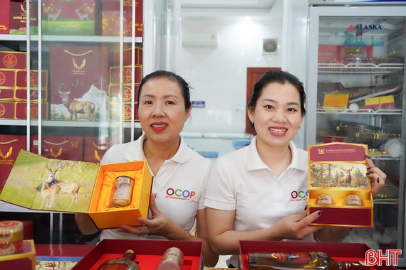 Các sản phẩm từ nhung hươu đắt hàng dịp Tết