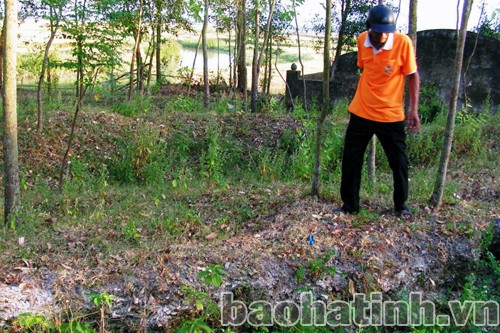 Phát hiện cồn sò điệp tại xã Thạch Đài (Thạch Hà).