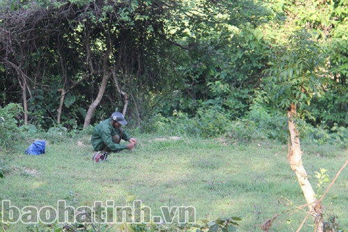 Bẫy được dời từ vị trí này đến vị trí khác ở những khu vực được phát hiện có gà rừng sinh sống Bẫy được dời từ vị trí này đến vị trí khác ở những khu vực được phát hiện có gà rừng sinh sống