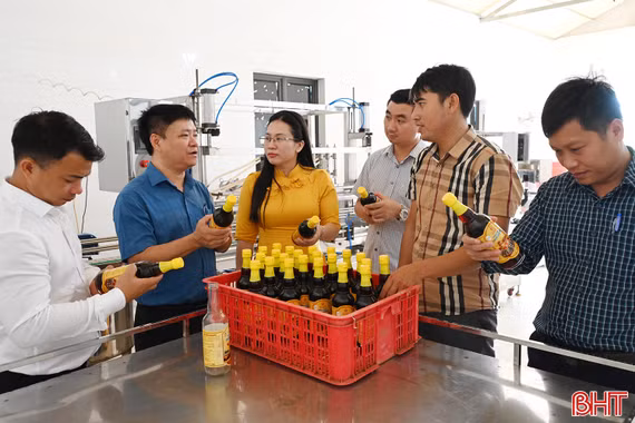 Tiền đề khai thác nhãn hiệu “Nước mắm Kỳ Ninh” trên thị trường quốc tế