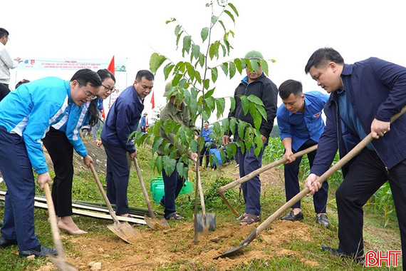 Tuổi trẻ Hương Khê ra quân trồng cây đầu xuân