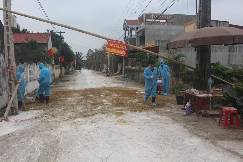 Phát hiện ổ dịch tả lợn châu Phi tại Thanh Hóa