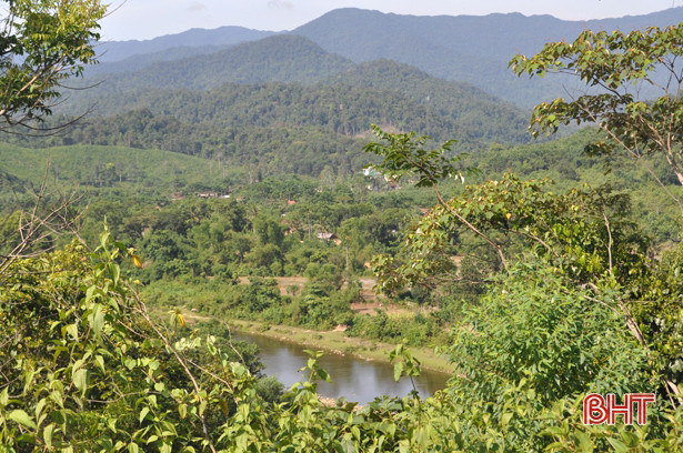 Nghiên cứu một số thảo dược ở Hà Tĩnh có khả năng phòng, chống ung thư