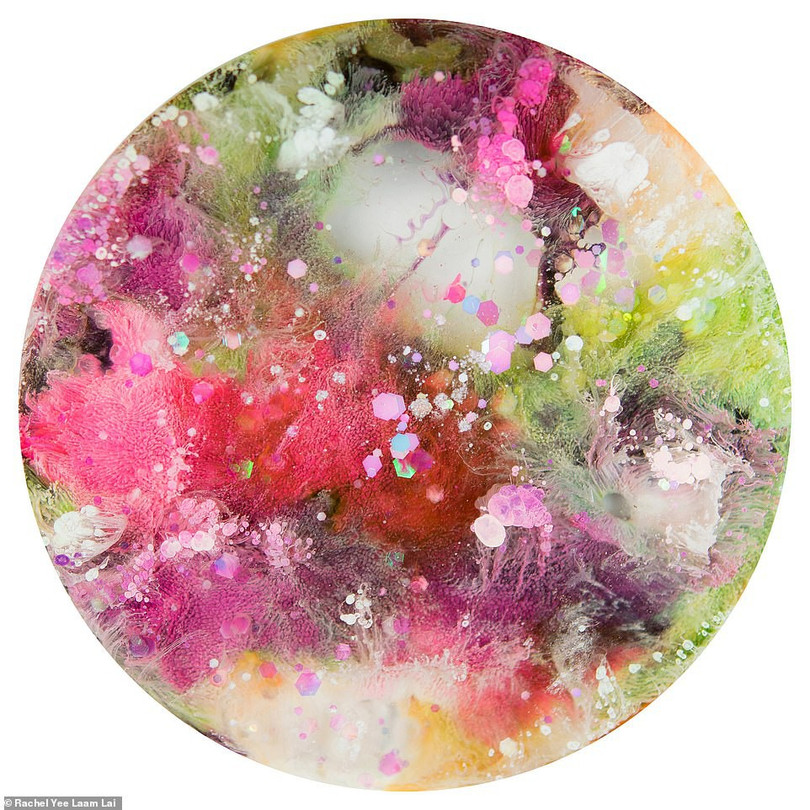 Việt Nam thắng chung cuộc Sony World Photography Awards 2019 - Ảnh 8. Việt Nam thắng chung cuộc Sony World Photography Awards 2019