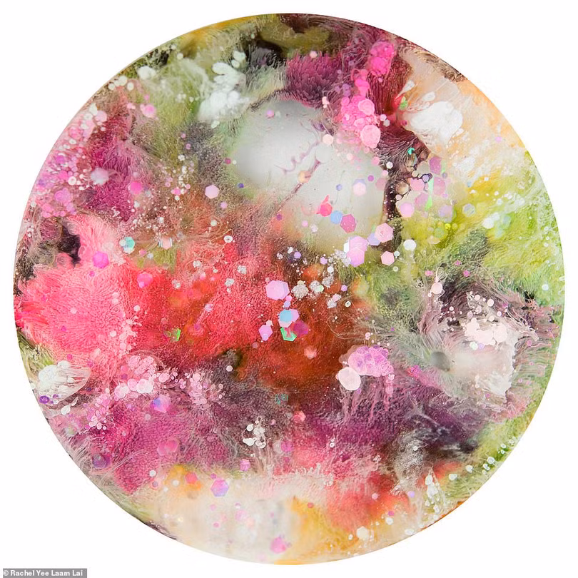 Việt Nam thắng chung cuộc Sony World Photography Awards 2019