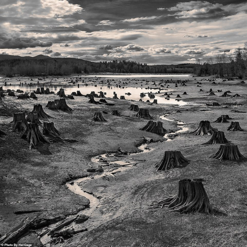 Việt Nam thắng chung cuộc Sony World Photography Awards 2019 - Ảnh 7. Việt Nam thắng chung cuộc Sony World Photography Awards 2019