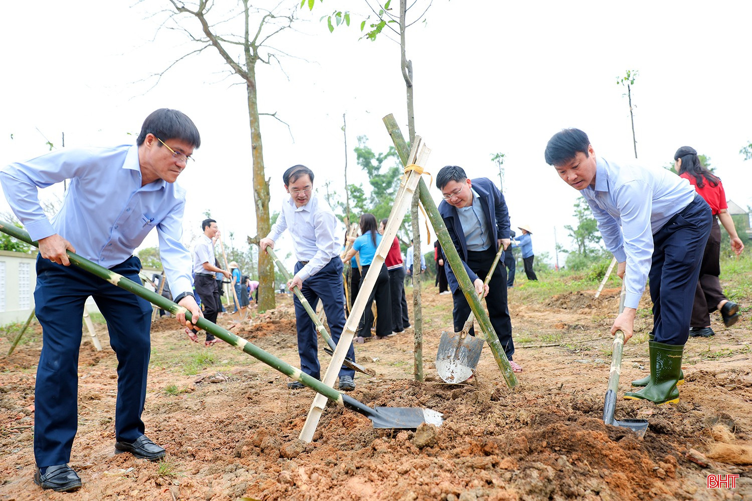 Lãnh đạo phường Thành Sen tham gia trồng cây xanh.