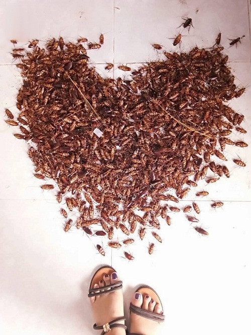 10 anh hai hot nhat facebook trong ngay