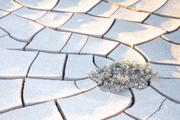 Ảnh đấu vật đoạt giải ảnh du lịch quốc tế ảnh 12 anh dau vat doat giai anh du lich quoc te