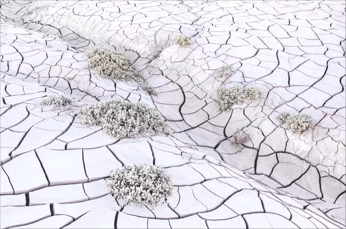 Ảnh đấu vật đoạt giải ảnh du lịch quốc tế ảnh 11 anh dau vat doat giai anh du lich quoc te