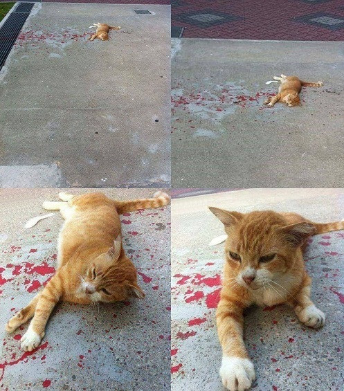 10 anh hai hot nhat facebook trong ngay