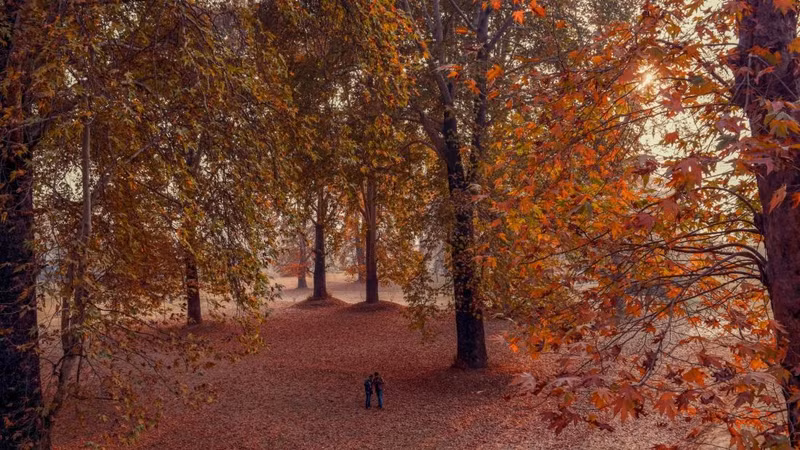 nhung buc anh du lich xuat sac nhat nam 2017