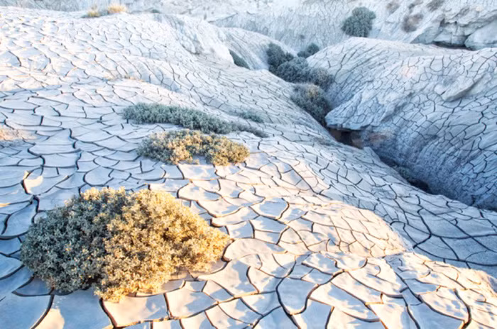 Ảnh đấu vật đoạt giải ảnh du lịch quốc tế ảnh 13 anh dau vat doat giai anh du lich quoc te