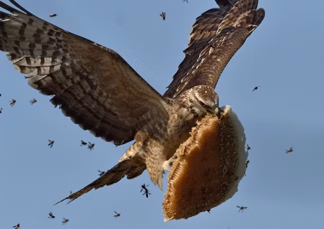 loat anh cua natgeo nhac nho chung ta ve the gioi xinh dep ngoai kia