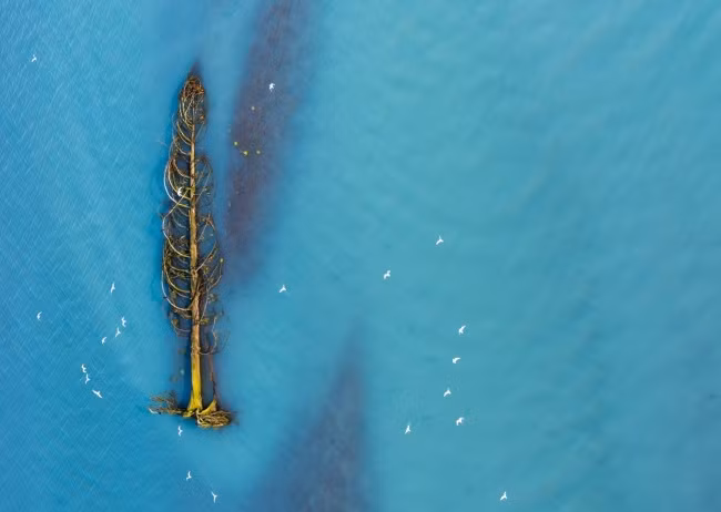 loat anh cua natgeo nhac nho chung ta ve the gioi xinh dep ngoai kia