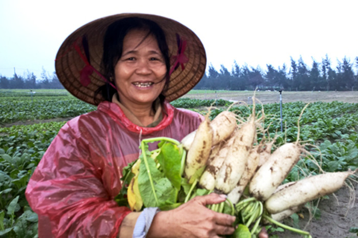 Rạng rỡ nụ cười trên đồng rau Thạch Văn ảnh 1 rang ro nu cuoi tren dong rau thach van