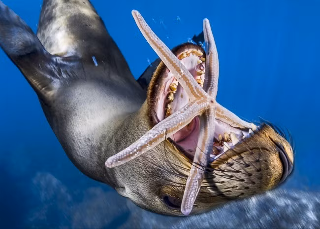 loat anh cua natgeo nhac nho chung ta ve the gioi xinh dep ngoai kia