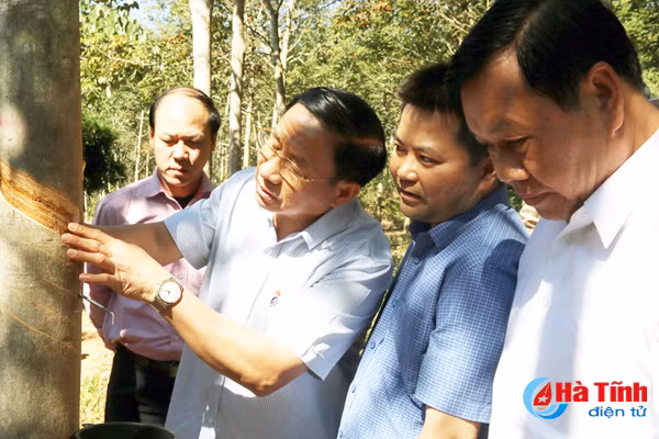 doan can bo cap cao ha tinh tham quan mot so du an lon o bolykhamxay