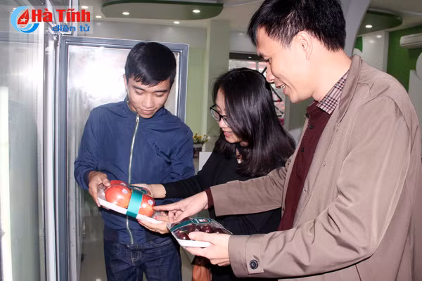 hoa qua nhap khau thi truong bat nhao quan ly long leo