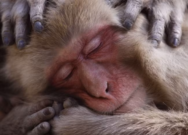 loat anh cua natgeo nhac nho chung ta ve the gioi xinh dep ngoai kia