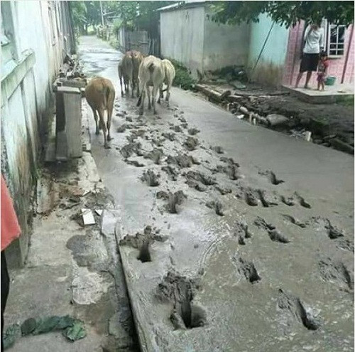 10 anh hai hot nhat facebook trong ngay