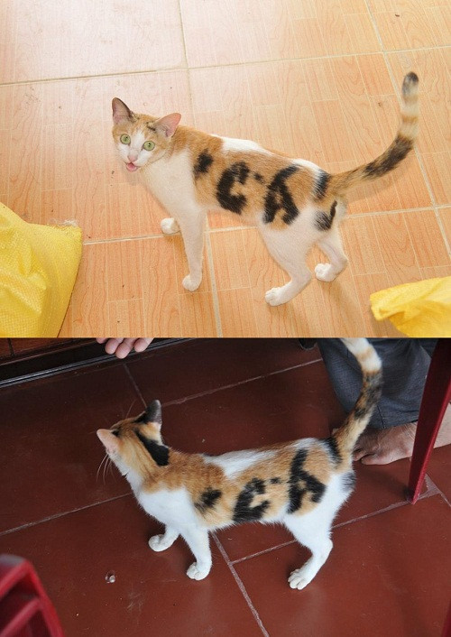 10 anh hai hot nhat facebook trong ngay