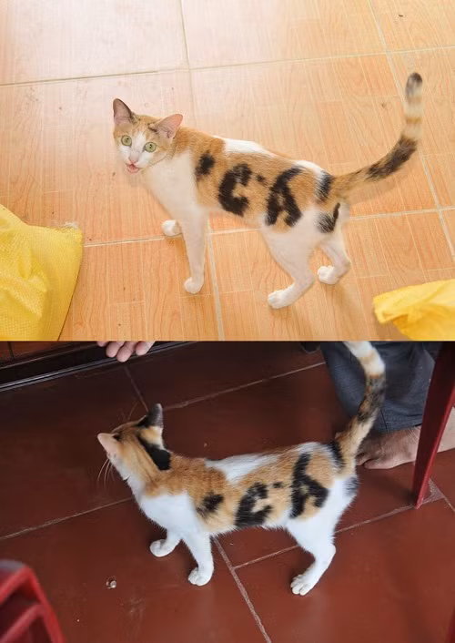 10 anh hai hot nhat facebook trong ngay