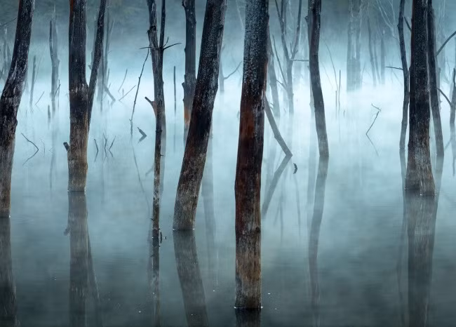 loat anh cua natgeo nhac nho chung ta ve the gioi xinh dep ngoai kia