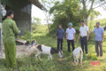 Đức Thọ - hiệu quả từ những mô hình sinh kế