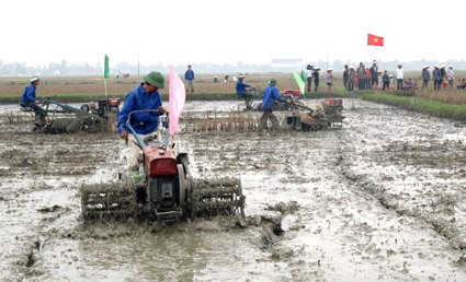 Nông dân Hà Tĩnh đang dồn sức chuẩn bị sản xuất đông xuân nhằm vớt vát thiệt hại sau trận "lũ chồng" vừa qua