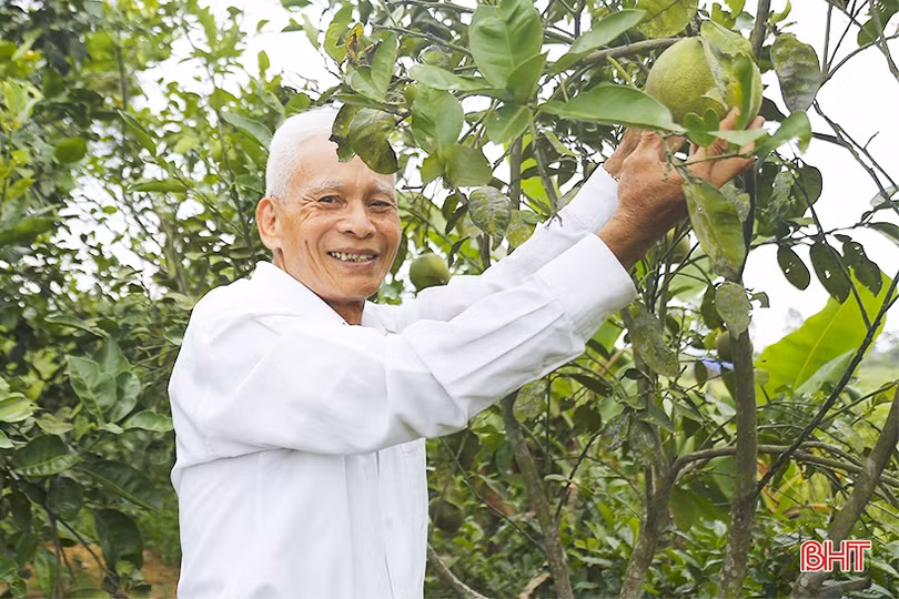 Bí thư chi bộ khéo dân vận, góp sức lớn xây dựng “miền quê đáng sống” ở Can Lộc