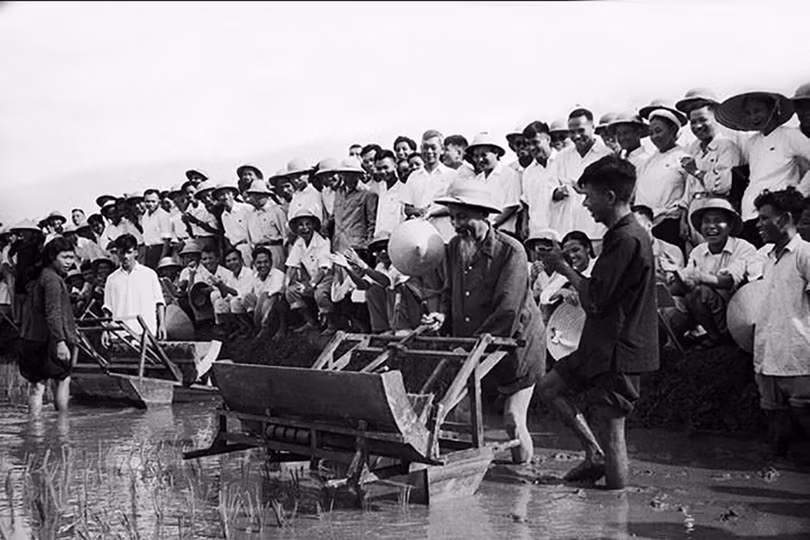 Văn hóa Hồ Chí Minh